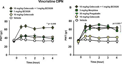 Soluble epoxide hydrolase inhibition alleviates chemotherapy induced neuropathic pain